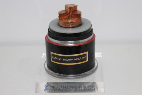 中天海纜成功研制出高端電纜產(chǎn)品 為新一代電網(wǎng)建設(shè) 蓄力